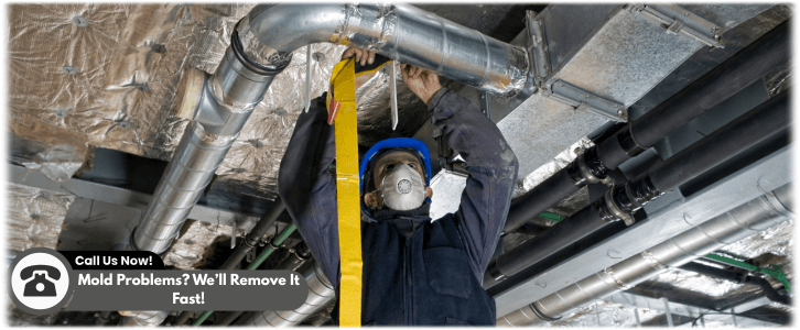 Air Duct Mold Removal in Los Angeles