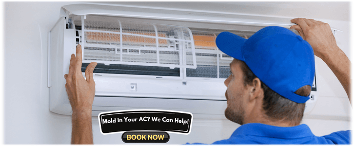 HVAC Mold Removal Los Angeles